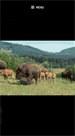 Mobile Screenshot of bisonsdesmontsdelamadeleine.fr
